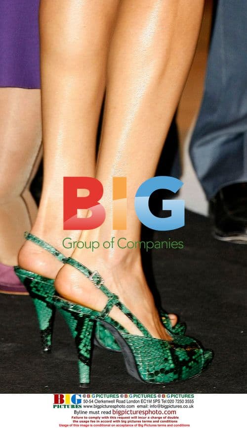 Princess Letizia at Madrid Fashion Week