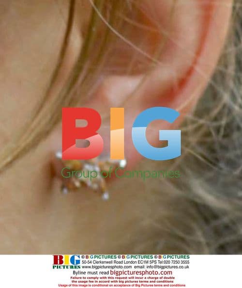 Crown Princess Victoria's 31st Birthday