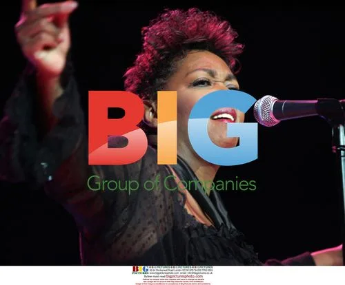 Anita Baker Performs in Hollywood