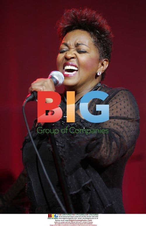 Anita Baker performs concert in Hollywood, CA
