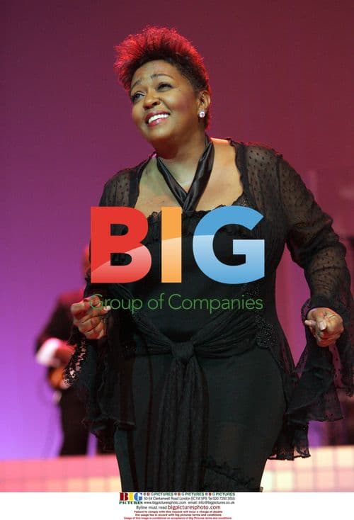 Anita Baker Performs in Hollywood Concert