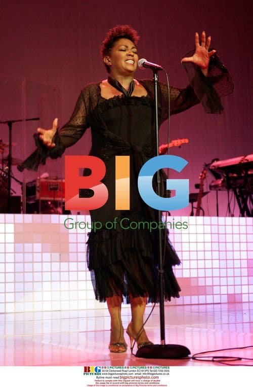 Anita Baker Performs in Concert