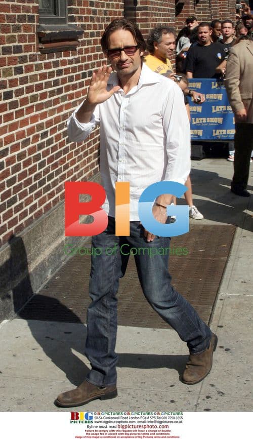 David Duchovny Greeted by Fans