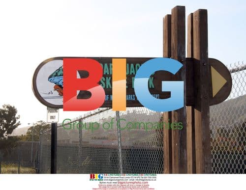 Pamela Anderson shops in Malibu