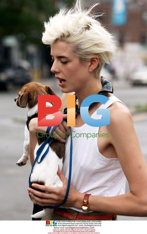 Agyness Deyn walks dog in NYC