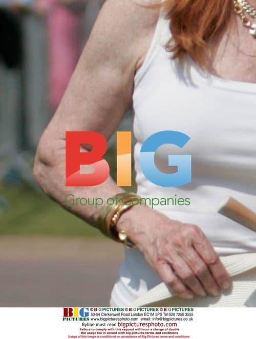 Stephanie Powers at Cartier International Polo Day