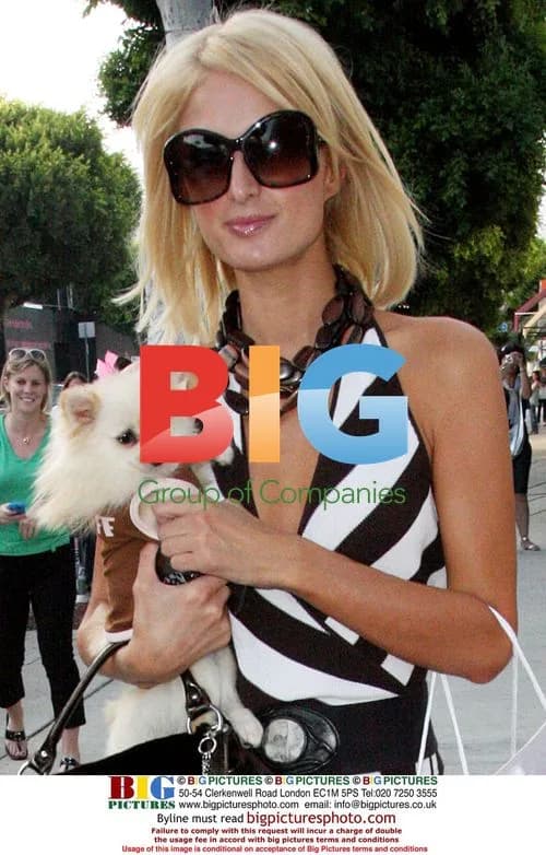 Paris Hilton Goes Shopping in LA