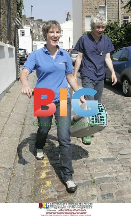 Vets visit Amy Winehouse's house for kittens