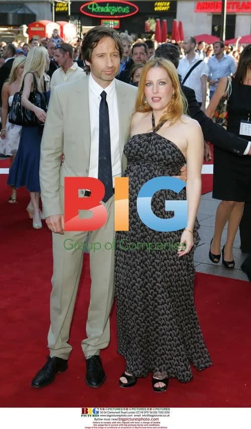 Gillian Anderson and David Duchovny at 'The X Files' premiere