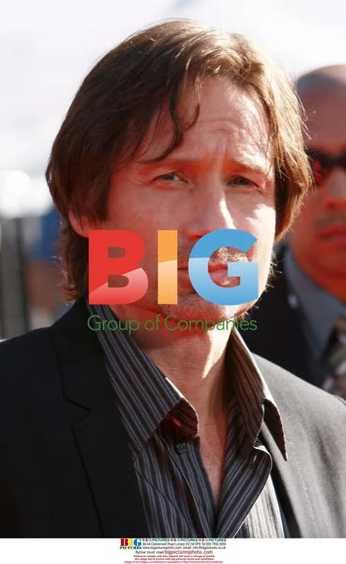 David Duchovny at 'The X-Files' Premiere