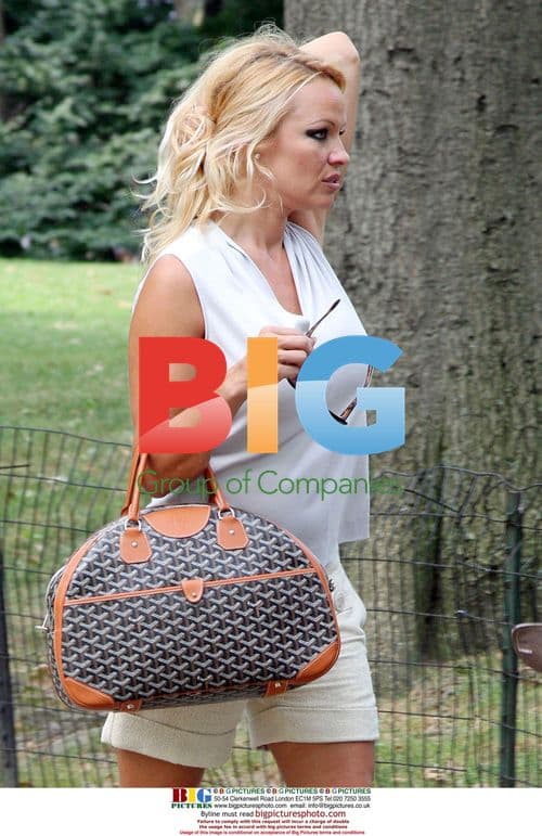 Pamela Anderson Walks in NYC with Son