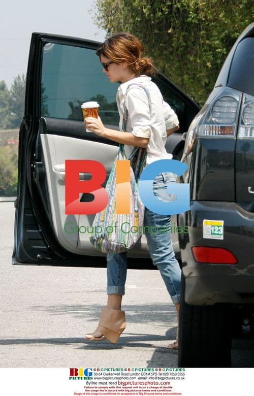 Rachel Bilson Out and About in Los Angeles