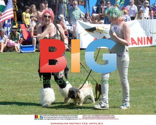 Jonathan Ross Family at Scruffs Dog Show