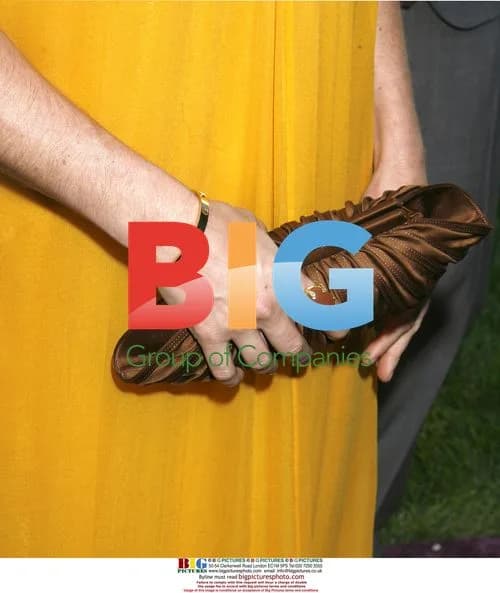 Rebecca Gayheart at Chrysalis Butterfly Ball