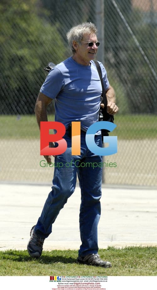 Harrison Ford and Calista Flockhart Watch Son Play Baseball