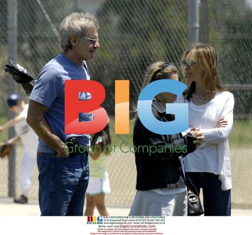 Harrison Ford and Calista Flockhart Watch Son Play Baseball