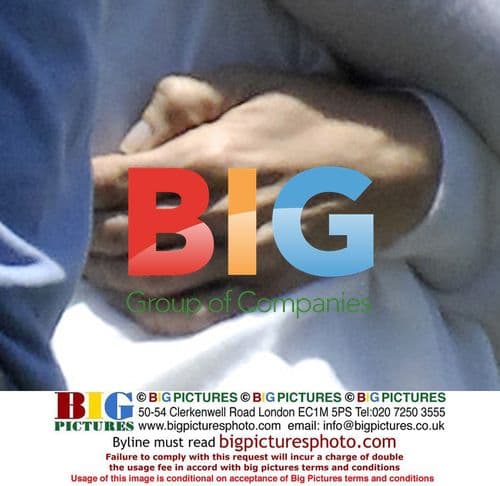 Harrison Ford and Calista Flockhart at Baseball Match