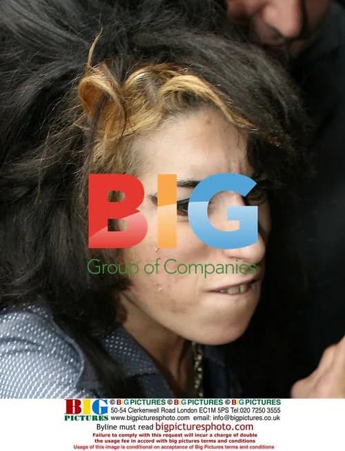 Amy Winehouse arrives home after seeing Blake in Court
