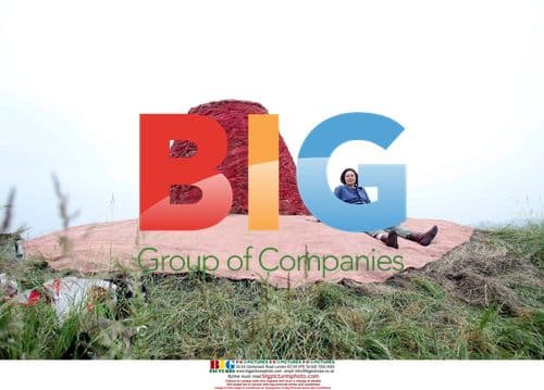 Belgian artist Anne Brasseur poses on her artwork