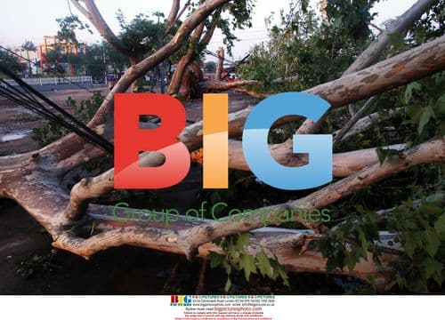 Ice storm aftermath in Henan, China