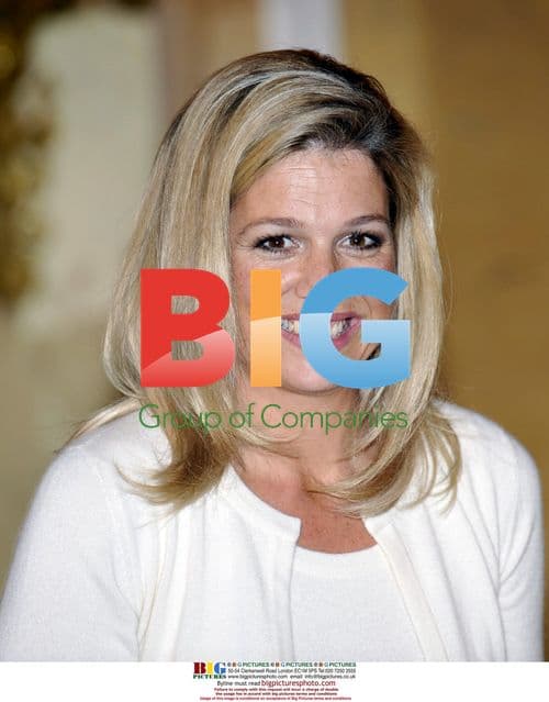 Dutch Princess Maxima speaks at Appeltjes van Oranje 2008 award