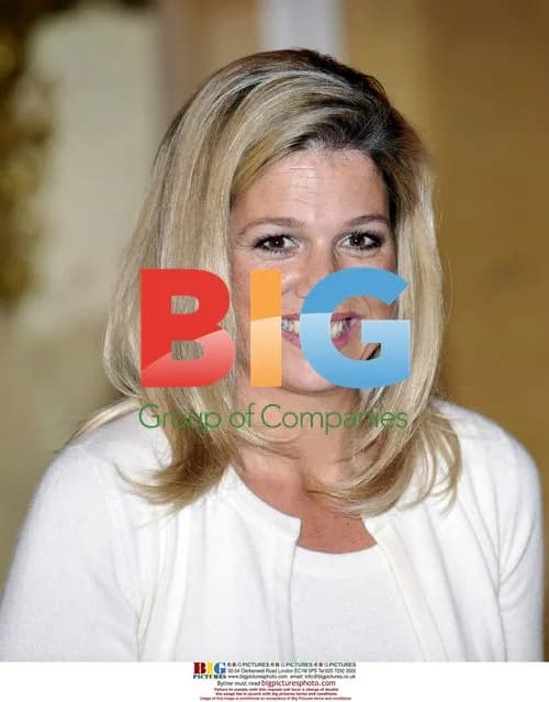 Dutch Princess Maxima speaks at Appeltjes van Oranje 2008 award