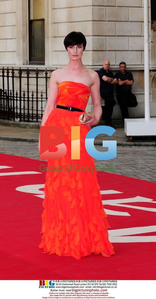 Erin O'Connor at Royal Academy of Arts Party