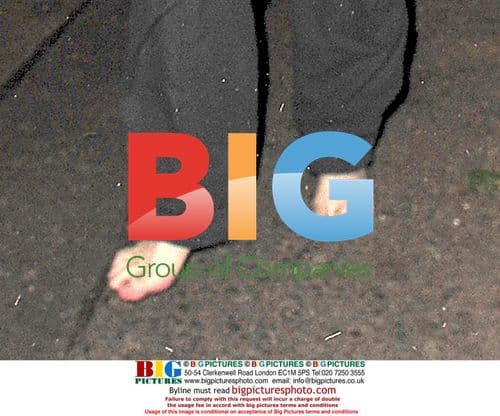 Amy Winehouse Defends Paparazzi from Attack