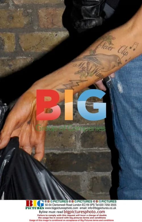 Amy Winehouse greets photographers in London