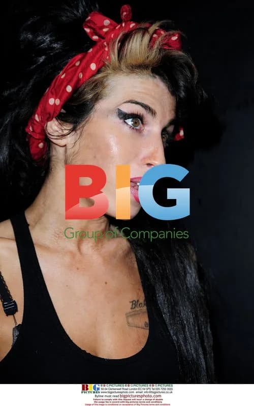 Amy Winehouse Talks to Paparazzi Outside Camden Home