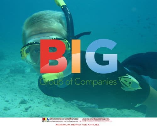 Surviving Diver Couple Engaged