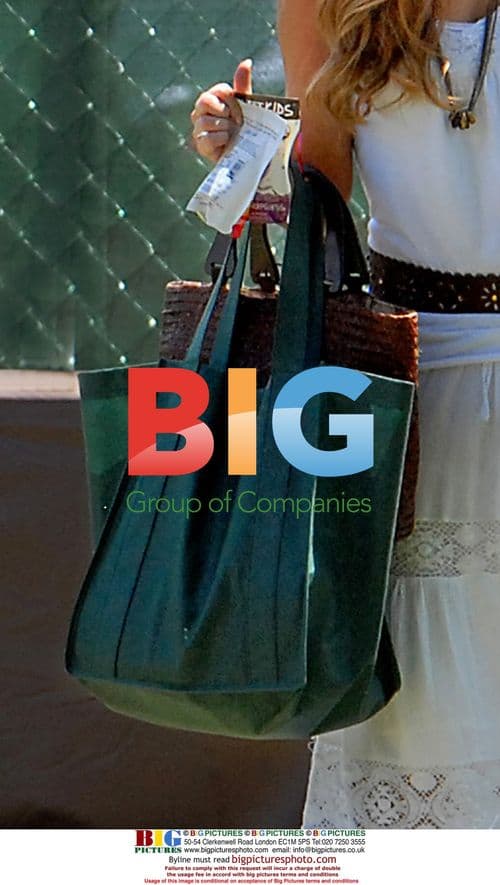 Denise Richards out with daughter in California