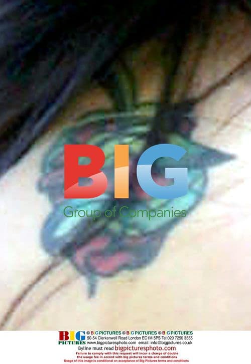 Audrina Patridge arrives home with security