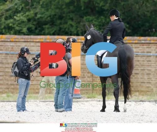 Model Jordan Debuts in Equestrian