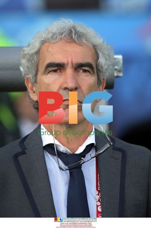 France Coach Raymond Domenech at Euro 2008