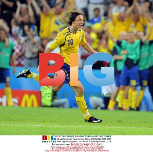 Zlatan Ibrahimovic Celebrates First Goal for Sweden