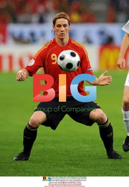 Fernando Torres at UEFA Euro 2008 match