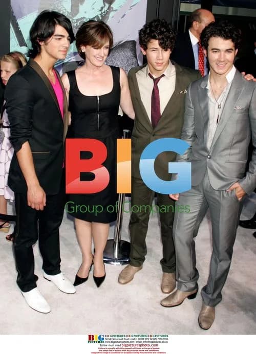 Anne Sweeney and Jonas Brothers at Camp Rock Premiere
