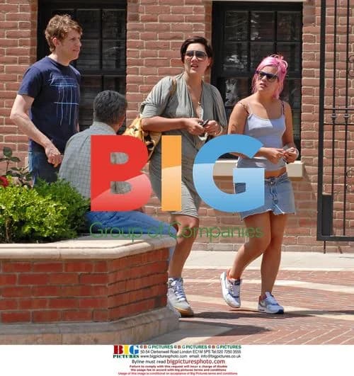 Lily Allen goes shopping in Glendale, California