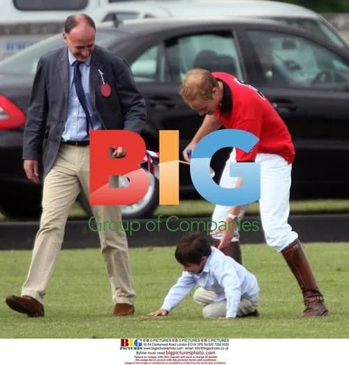 Prince William at charity polo event