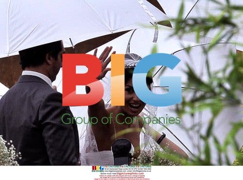 Elisabetta Gregoraci and Flavio Briatore's Wedding