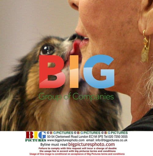 Lauren Bacall Departs LAX with Dog