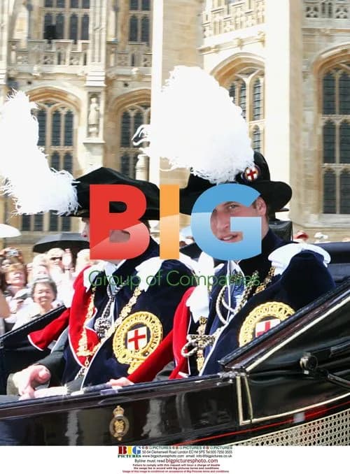 Prince William Installed as Knight of the Garter