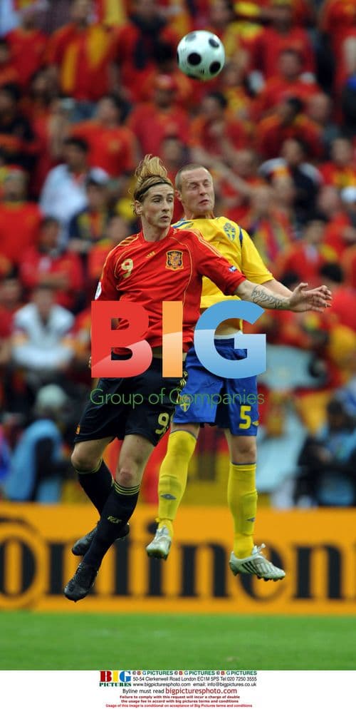 Fernando Torres and Fredrik Stoor at Euro 2008
