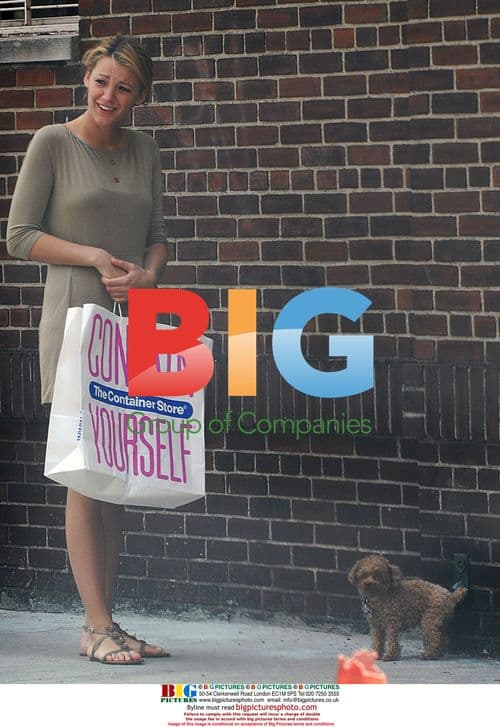 Blake Lively's dog "accident" on her dress