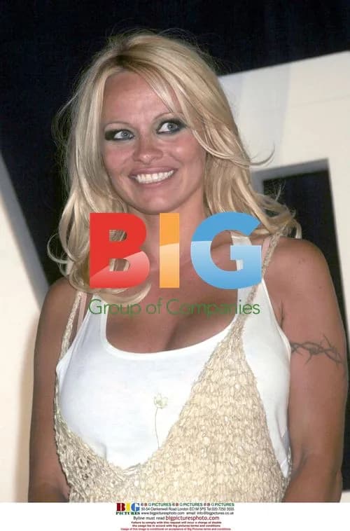 Pamela Anderson at Hollywood Memorabilia Auction