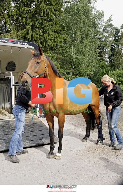 Maria Lindgren's horse Afrodite euthanized