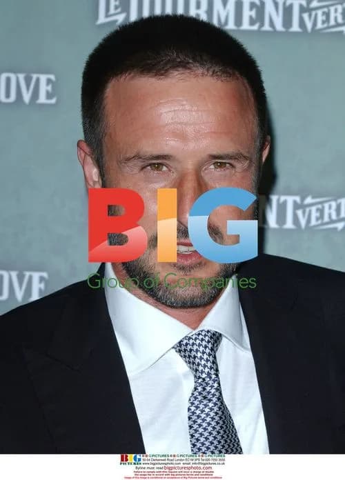 David Arquette at "The Butler's in Love" Premiere