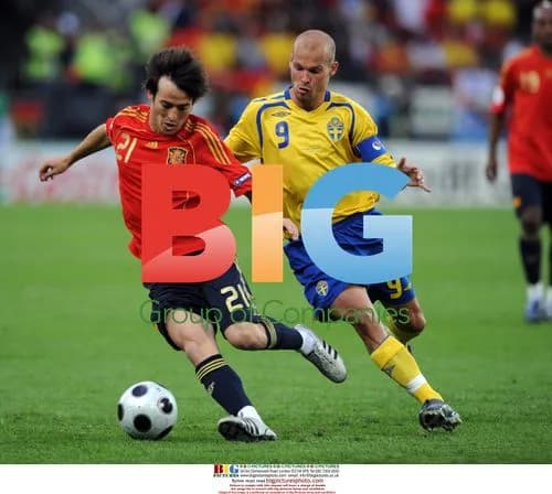 Silva and Ljungberg at EURO 2008