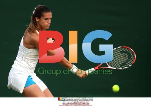 Amelie Mauresmo at Wimbledon 2008